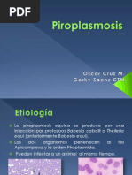 Piroplasmosis