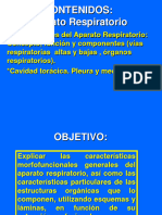 Aparato Respiratorio11