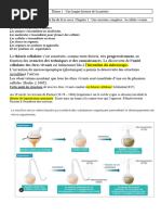 1 ES Cours Cellule