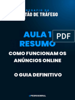 Resumo Aula 1 Como Funcionam Os Anuncios Online o Guia Definitivo