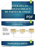 Fisioterapia en Patologias Oseas y de Pa