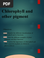 Chlorophyll and Other Pigment (Final Presentation) pt.2