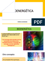 BIOENERGÉTICA