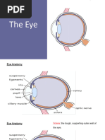 The Eye