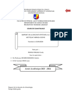 Rapport Descente Mettelsat Ikam's