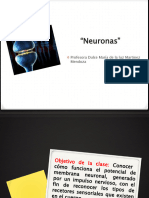 Neurona