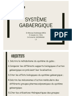 Système Gabaergique 2023