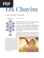 Ets Chayim 6