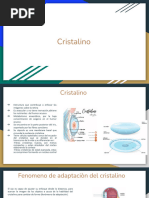 Cristalino