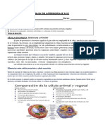 Estructura de La Celula Eucariota