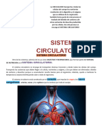 Sistema Circulatorio