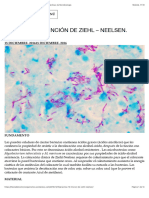 PRÁCTICA 10 - TINCIÓN DE ZIEHL - NEELSEN. - Prácticas de Microbiología