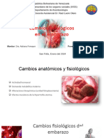 Tema 1. Cambios Fisiológicos en El Embarazo. Parte 1