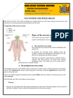 11.6. The Nervous System and Sense Organs