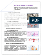 Teorías de Cómo Se Origina El Embarazo