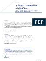 Técnicas em Ortopedia 2004 4-3-20 6 Fixação Das Fraturas Do Planalto Tibial Com Parafusos Canulados