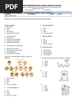 Examen de Ingles 6