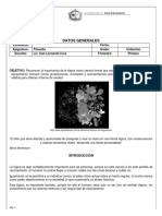 Guia Filosofía 11°, 2024