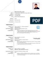 Francesco Falaschi CV English Version