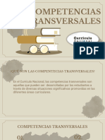 Competencias Transversales 