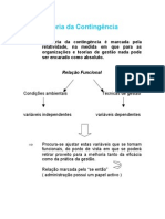 Teoria Da Contingência