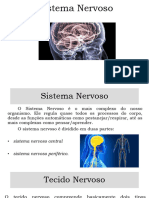 1 Sistema Nervoso