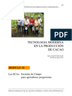 10 Las ECAs y El Desarrollo Cacaoteror Version Setiembre 2011 PDF