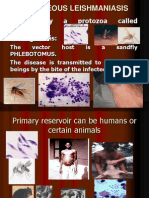 Cutaneous Leishmaniasis: Caused by A Protozoa Called Leishmania Pathogenesis