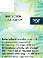 Cultivation