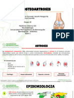 Artrosis Osteoartrosis Osteoartritis (Oa)