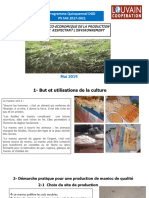 190.fiche Technico-Economique de La Production Agroecologique Du Manioc