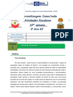 Atividade Escolar 9°ano 10°semana EF