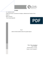 Tarea 3 - Análisis Del Medio Ambiente Interno de La Pequeña Empresa