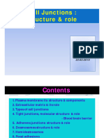 Cell Junctions: Cell Junctions: Structure & Role: Dr. R. Debnath Assoc. Professor Deptt. of Zoology M.B.B. College