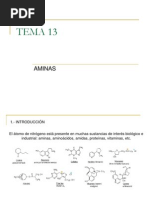 Tema Aminas