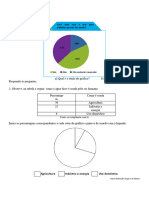 Atividade Classe Gráficos de Setores (Pizza)