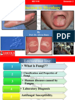 Introduction To Medical Mycology