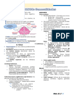 Resumenes de Anato Ii - 1° Unidad