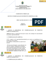 Aula 3 Comercialização - Gestão e Estratégias-Programa Mulheres Mil