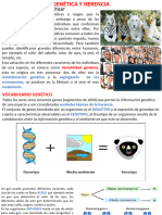 Genética y Herencia