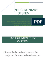 Chapter 4 Integumentary System