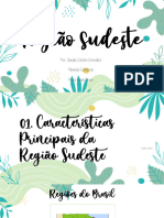 Região Sudeste PDF