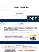 Seguridad Industrial 2024