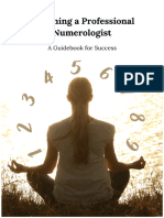 233 Pages Numerology Guide