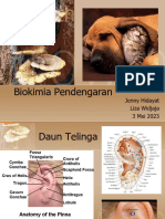 Biokimia Pendengaran