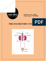 Excretory System (Raah Dikha)