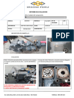 Informe Ip-452-2024 Pevoex