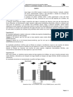 Ficha Formativa 12