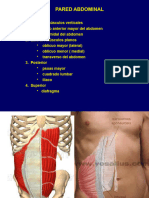 Sección de Abdomen Completo