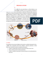 Organizacaobiologica PdfToWord